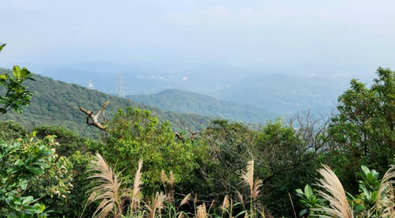 翠山步道天气预报