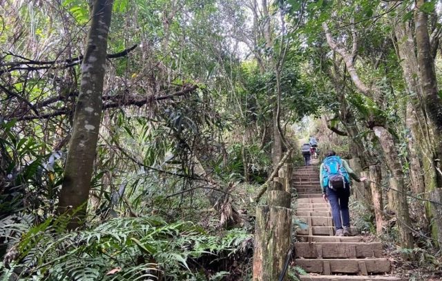 台南大凍山難度