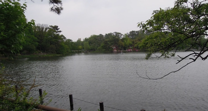碧湖公園釣魚技巧