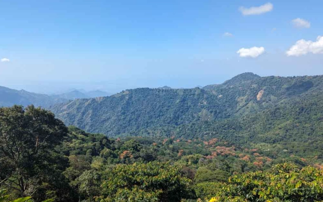 翠山步道登山天气
