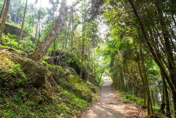 台南登山天氣預報