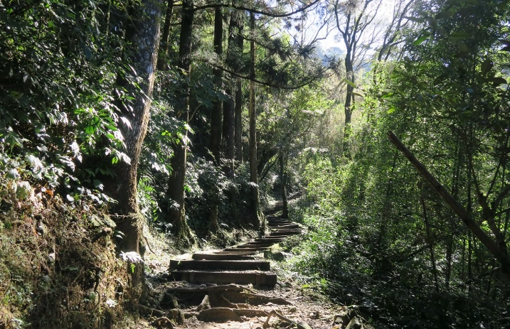 大凍山行程規劃