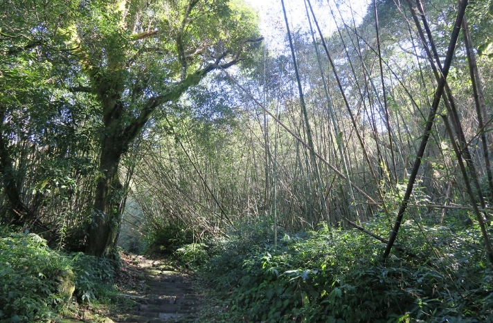 大凍山登山路線