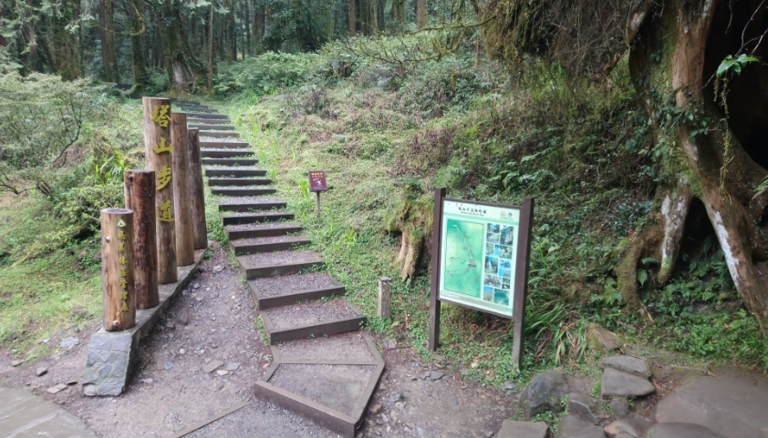 阿里山大塔山步道