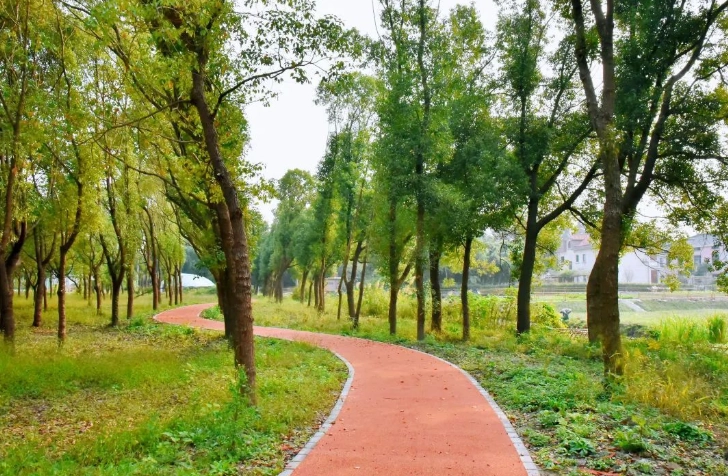 中社路步道難度