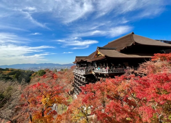 京都車站到清水寺巴士