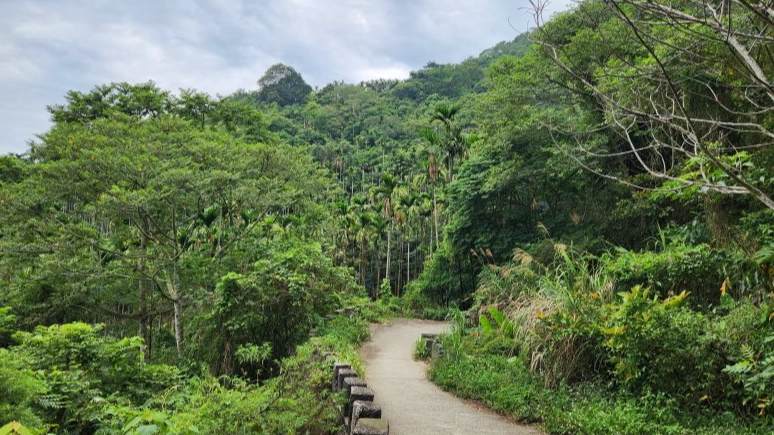 台南大凍山難度