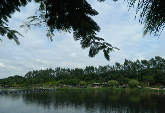 碧湖公園釣魚規則