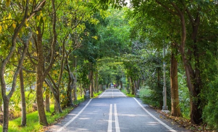 中社路步道交通