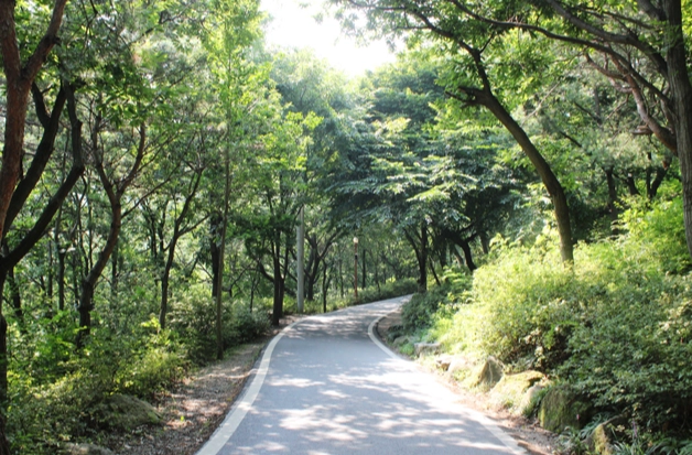 中社路步道難度