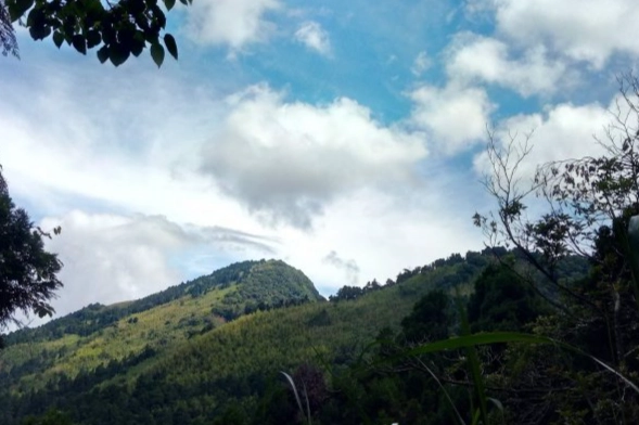 回頭嶺大凍山步道