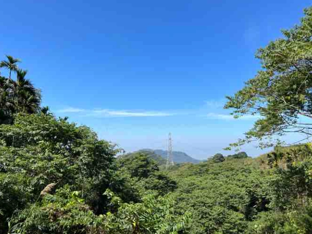 台南大凍山登山