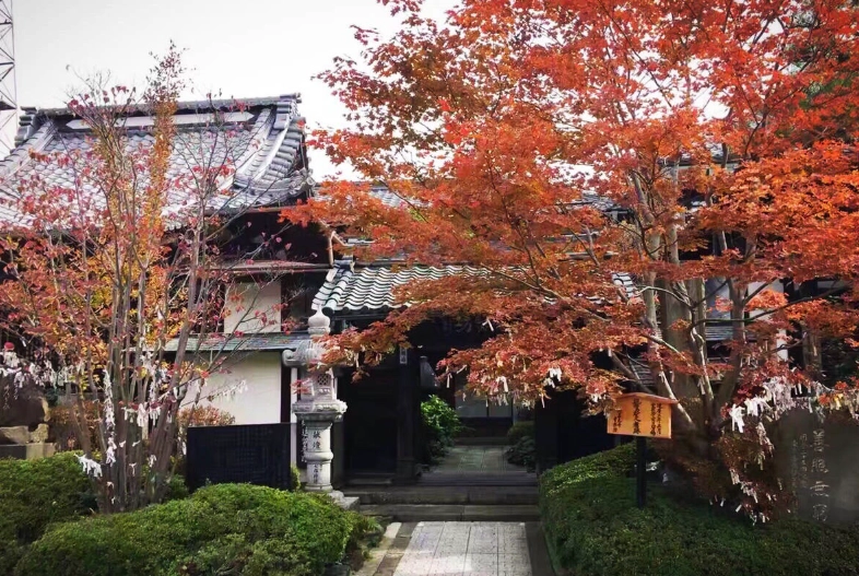 長野一日遊行程