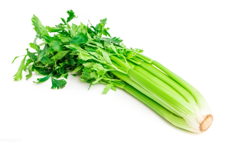 西洋芹營養