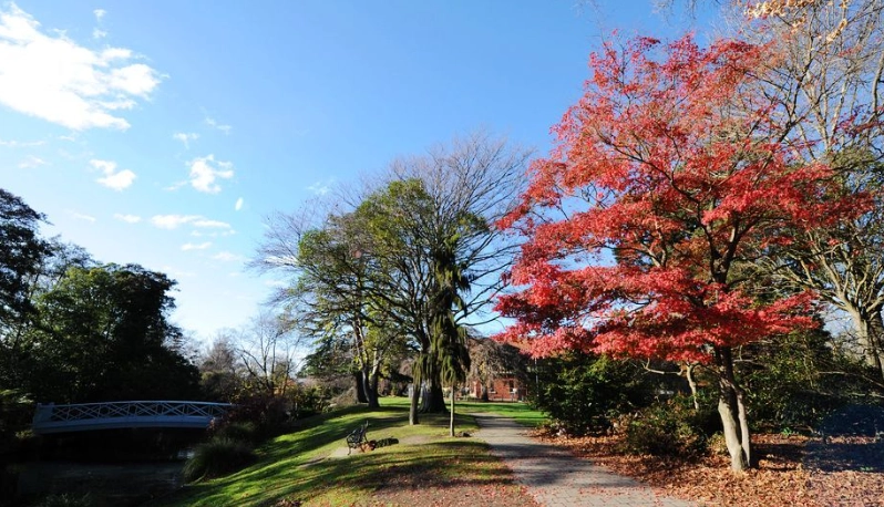 基督城徒步路線