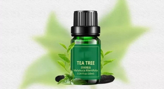 茶樹精油使用技巧