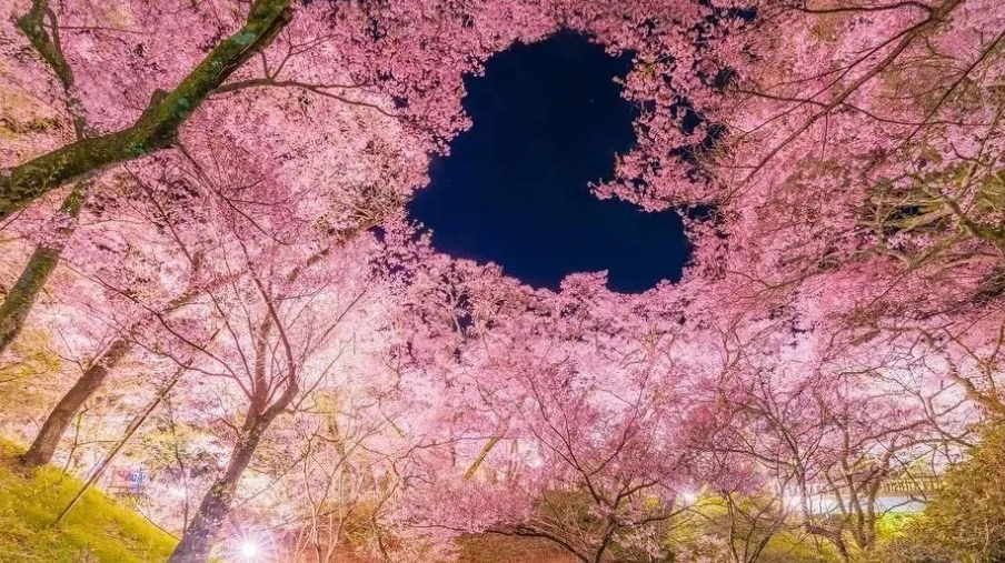 長野縣公共交通