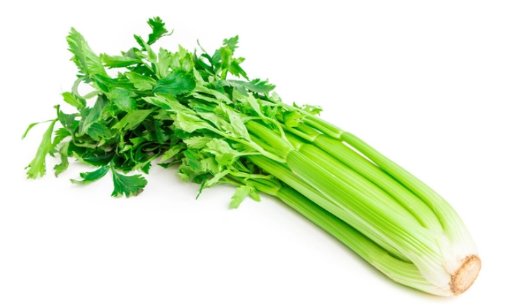 西洋芹營養過量