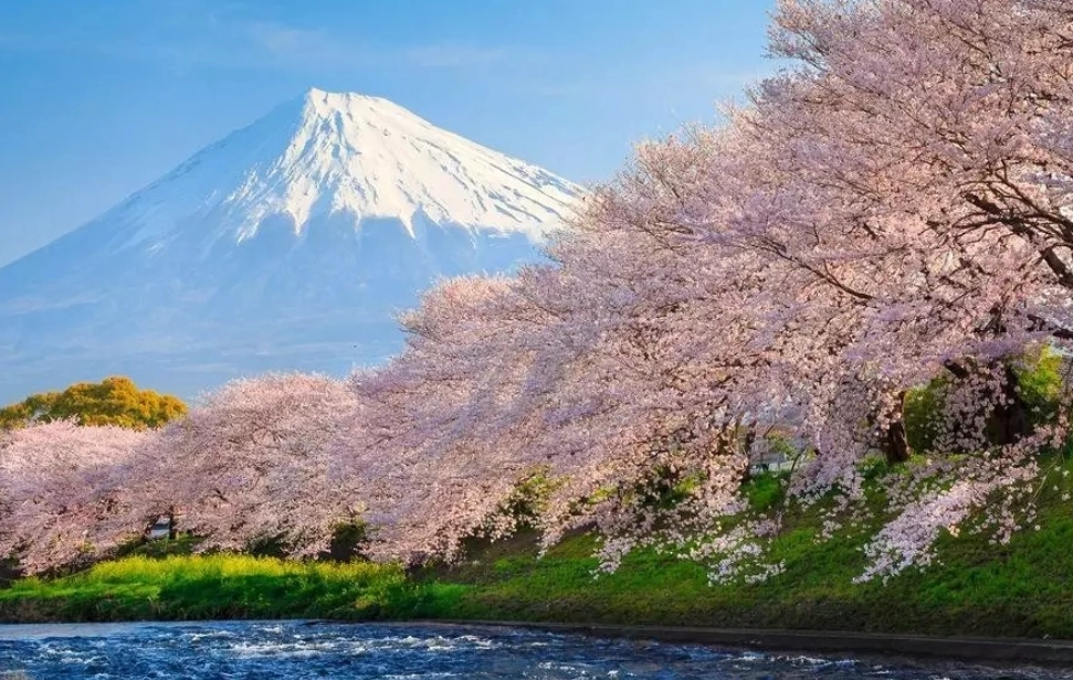 富士山打卡攻略