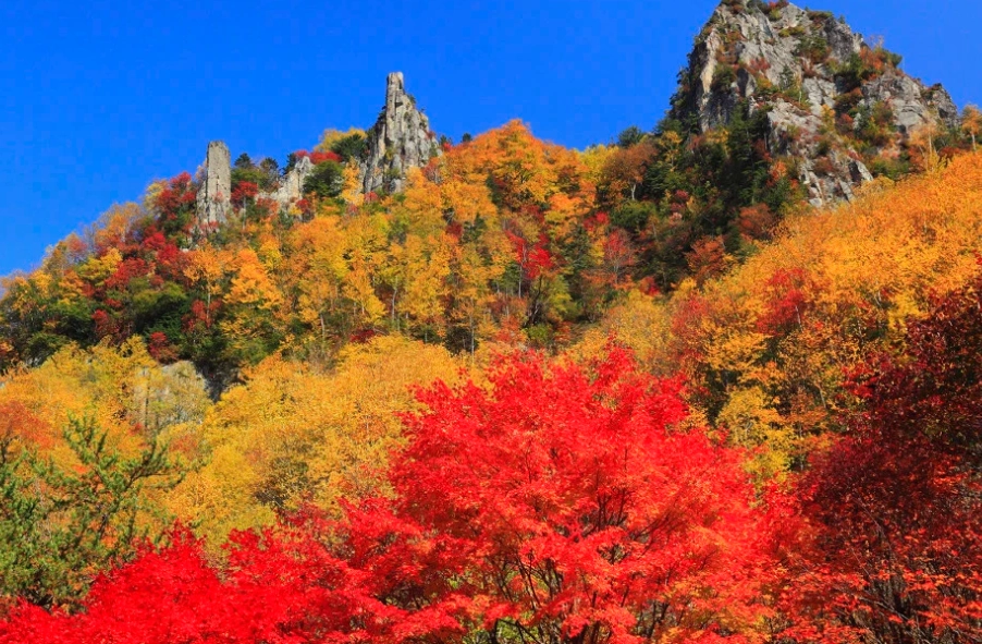 白馬岩岳秋季旅遊