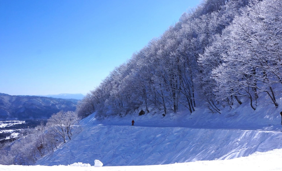 白馬滑雪場攻略