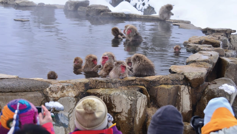 長野一日遊交通