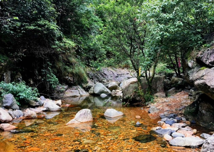 自然探勝園旅遊