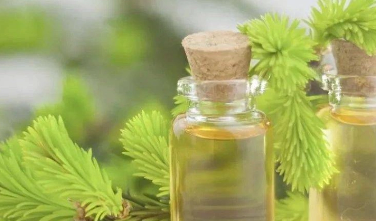 茶樹精油應用方法