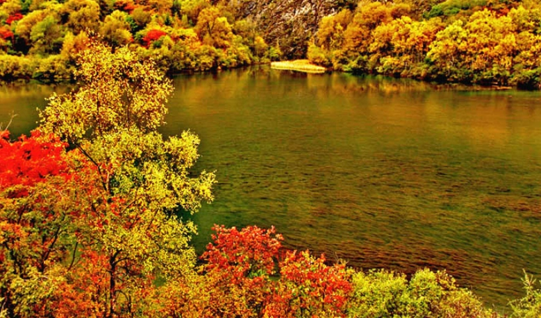 自然探勝園旅遊