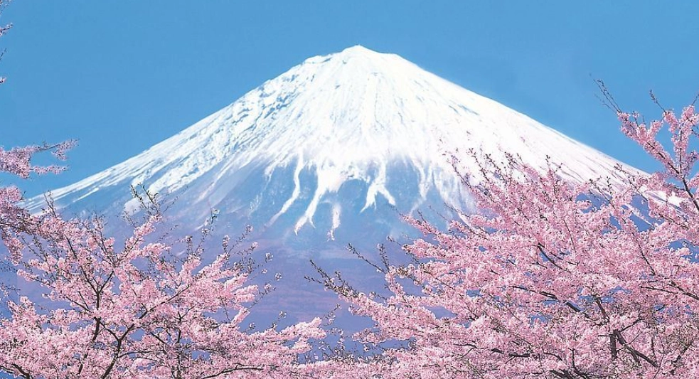 富士山觀賞季節