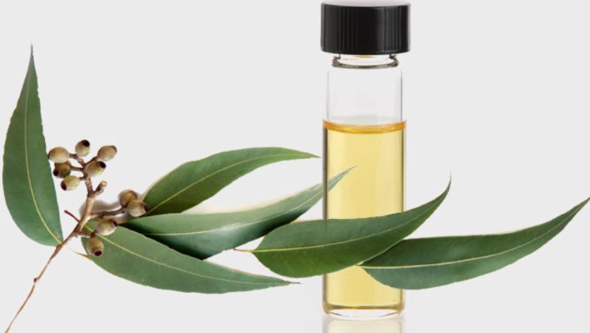 茶樹精油漱口好處