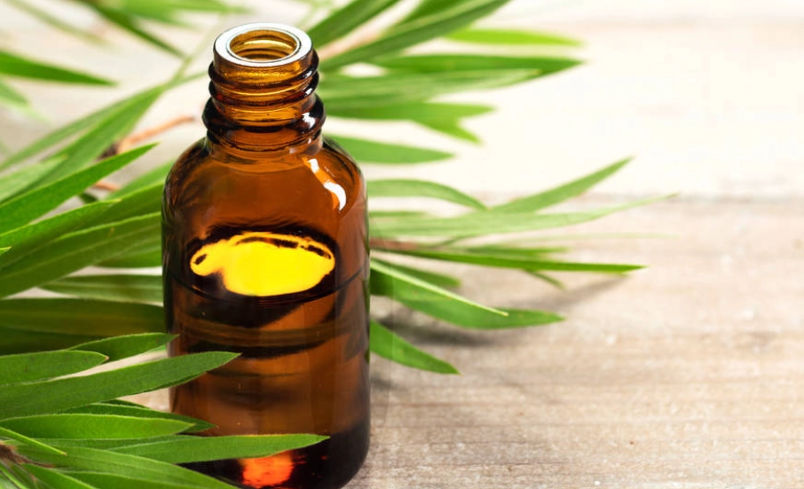 茶樹精油應用方法