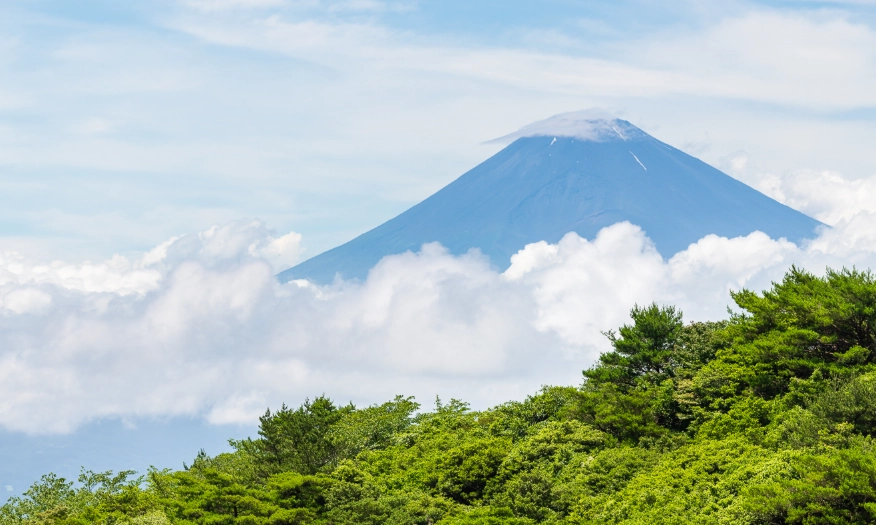 富士山 位置