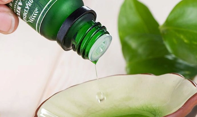 茶樹精油使用方法