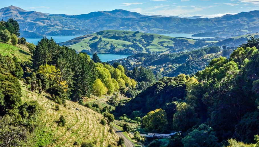 紐西蘭近郊景點