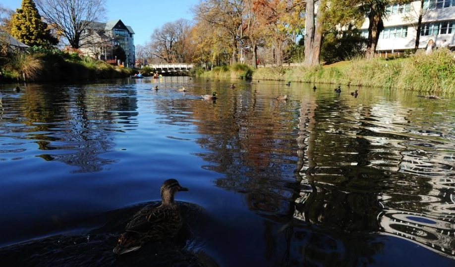基督城酒吧推薦