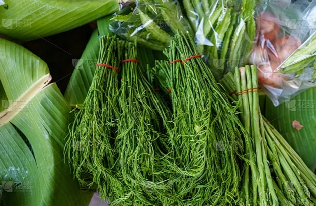 東南亞蔬菜種植