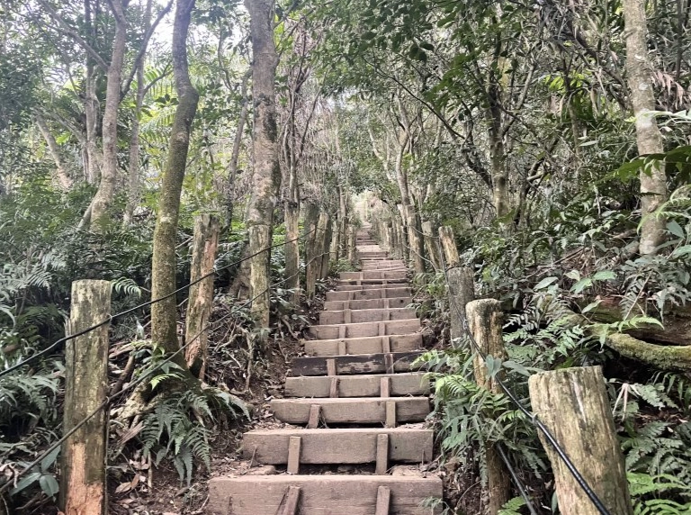 台南大凍山步道攻略 台南大凍山步道攻略