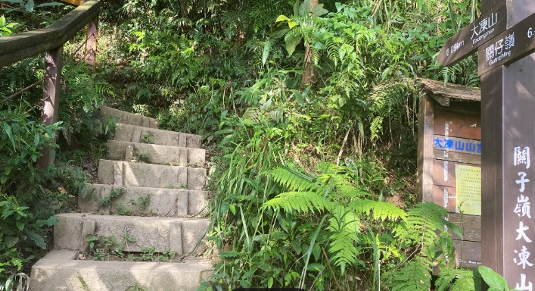 台南大凍山步道攻略 台南大凍山步道攻略