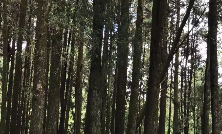 大塔山登山許可