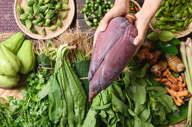 東南亞蔬菜種植