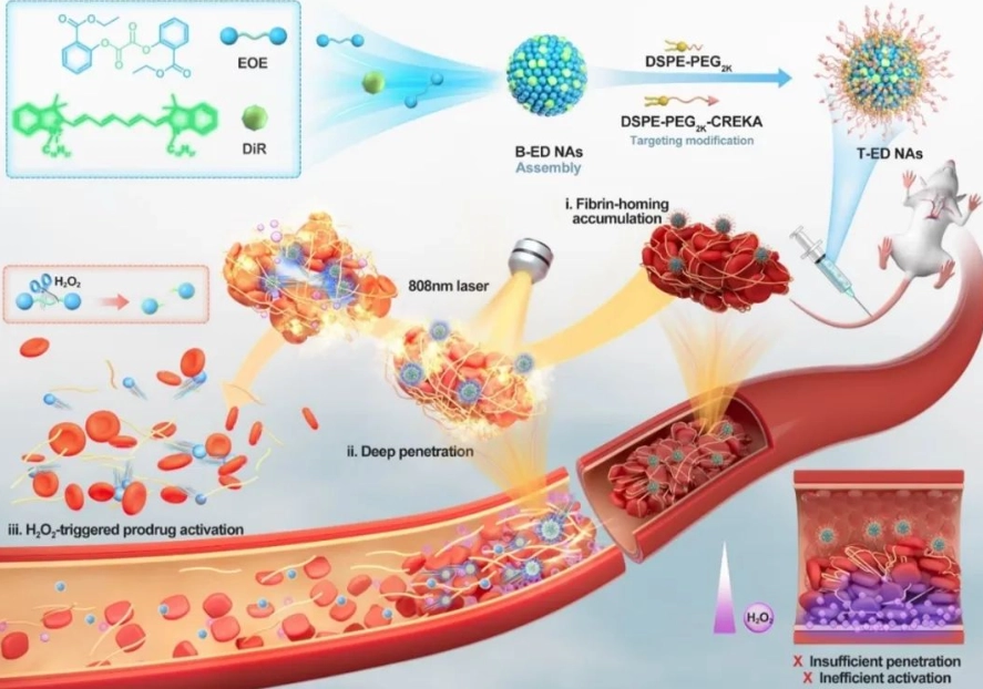 抗凝血劑使用禁忌