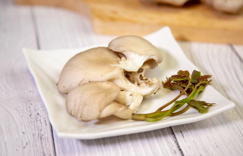 秀珍菇保存技巧