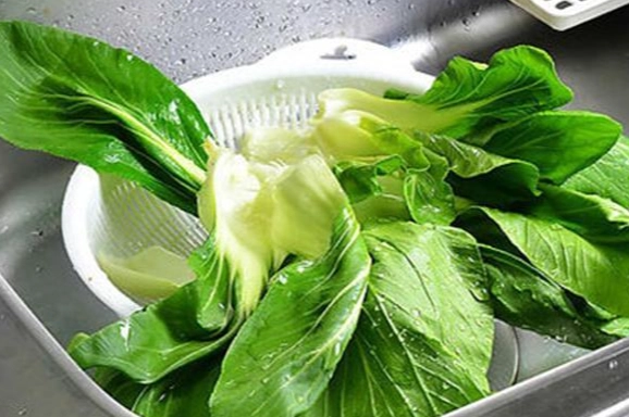 洗菜後保存技巧