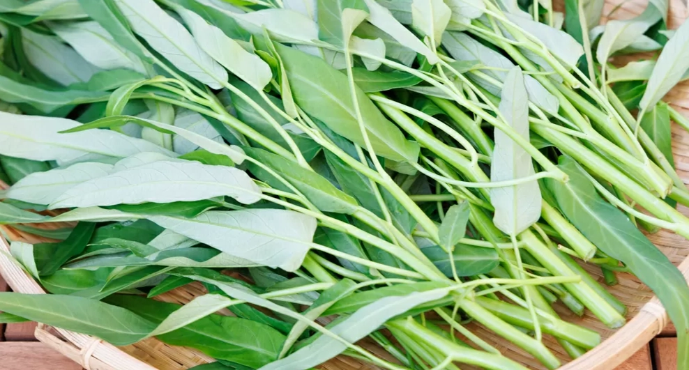 冷凍空心菜食譜