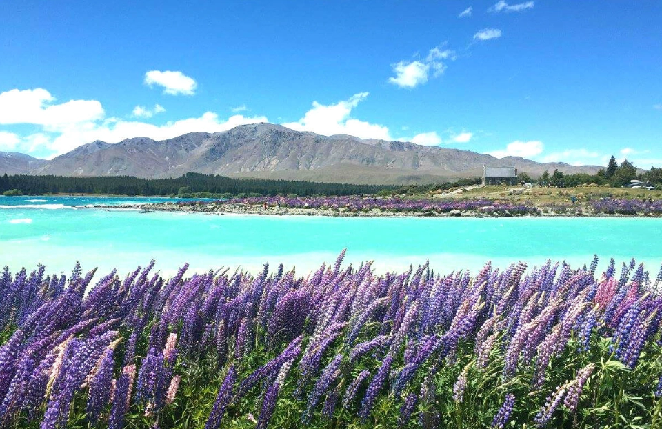 紐西蘭行程規劃