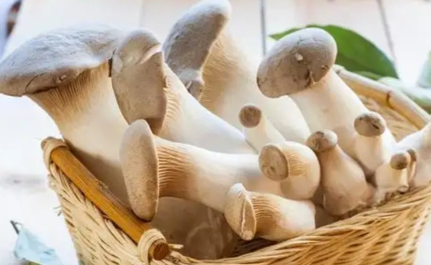 杏鮑菇冷藏技巧