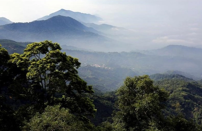 大凍山登山路線