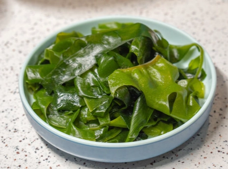 腎臟病飲食 海帶芽