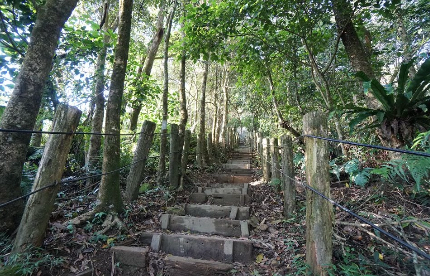 大凍山登山路線